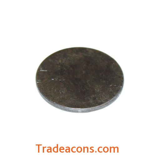 картинка клапан пятаковый моп (мо)  моп2-0006 тзк от интернет магазина Трейдаконс
